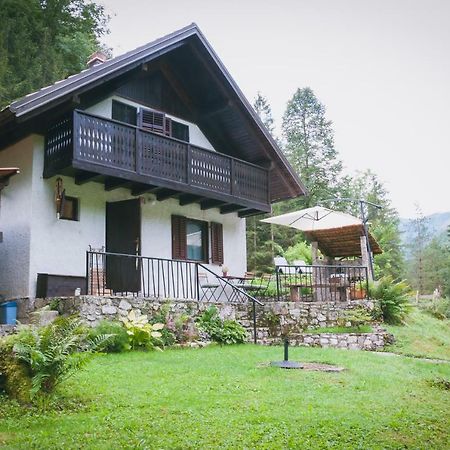 Naturalina Holiday House Gorenja Trebusa Extérieur photo