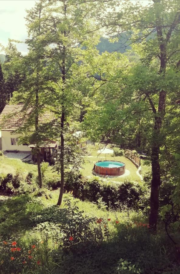 Naturalina Holiday House Gorenja Trebusa Extérieur photo