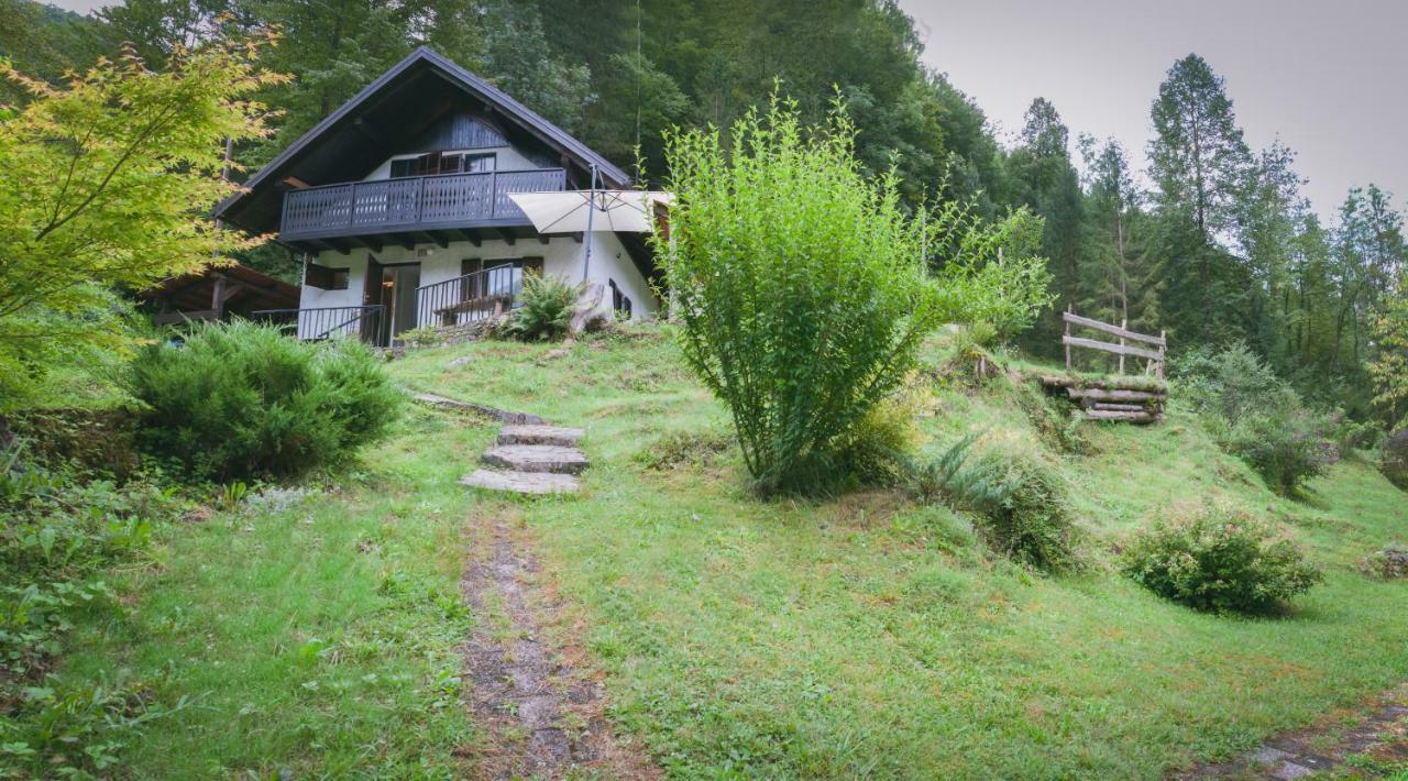 Naturalina Holiday House Gorenja Trebusa Extérieur photo