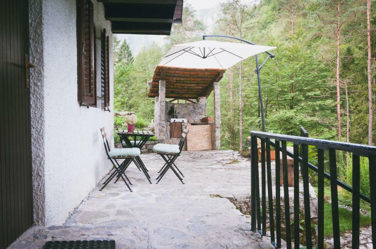 Naturalina Holiday House Gorenja Trebusa Extérieur photo