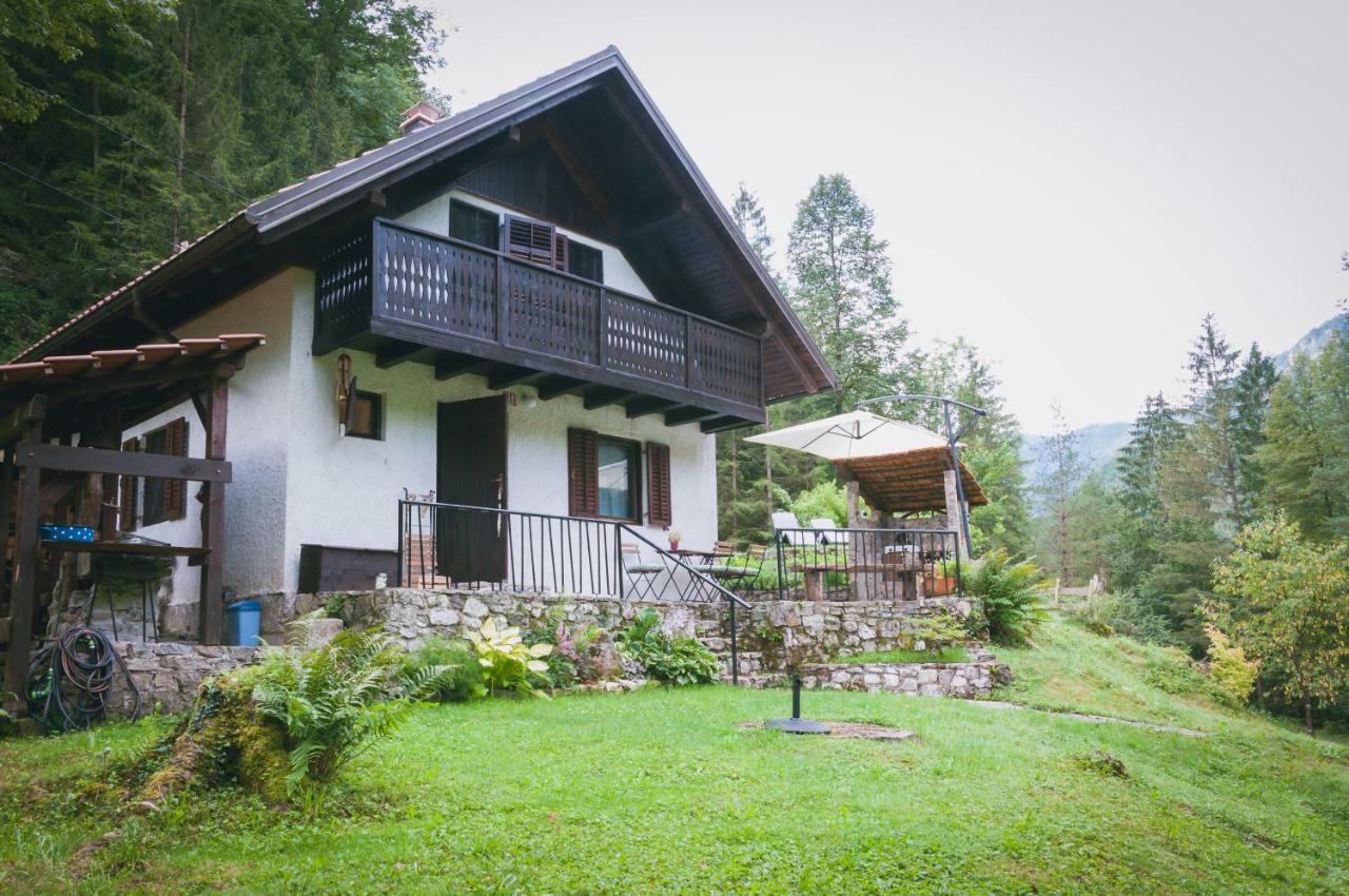 Naturalina Holiday House Gorenja Trebusa Extérieur photo